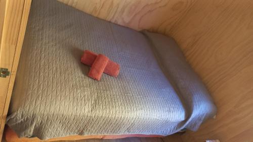 Lonquimay Apartment | Cabañas Aliwen Lonquimay