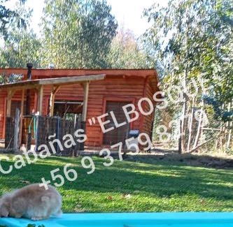 Yerbas Buenas Ski Chalet | Cabañas ELBOSQUE