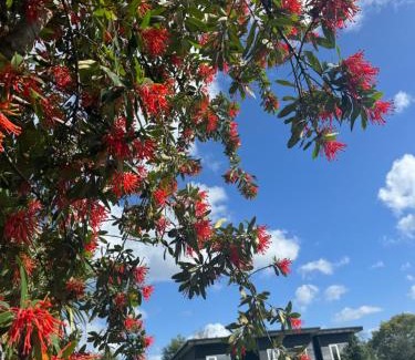 Puerto Varas House | Cabañas Los Aromos de Puerto Varas