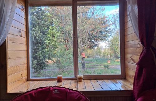 Castro Apartment | Cabañas Los Notros