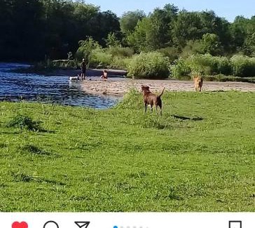 El Torreon House | Cabañas Nido de águila
