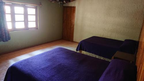 Tapalpa Ski Chalet | Cabañas Tapalpa Sierra del Tecuan, Cabaña Coyote