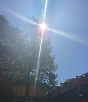 Tapalpa Ski Chalet | Cabañas Tapalpa Sierra del Tecuan, Cabaña Lince