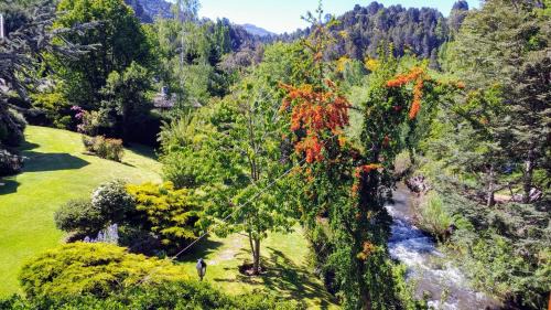 Lanin National Park Cabin | Cabañas Temporada