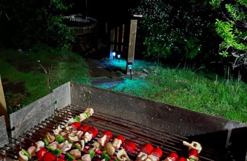 Antuco Apartment | Cabañas Vista Volcán Antuco