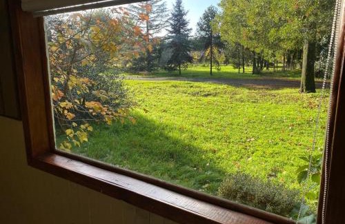 Los Angeles House | Cabañita Uriflor