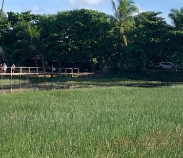 Arembepe Other | Cabana Juriti