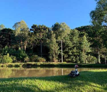 Canela Cabin | Cabanas em Canela - Leão da Tribo de Judá