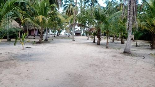 Palomino Hotel | Cabanas Las Estrellas