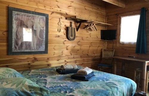 Apt Ski Chalet | Cabane bambou
