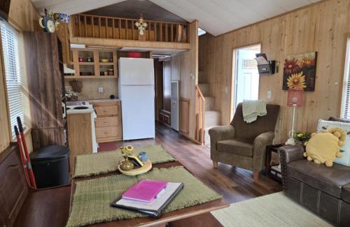 Neal House | Cabin 9 - Toronto Lake- Fishing, Swimming & More! cabin