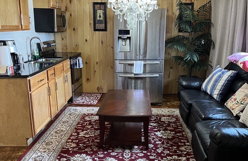 Lansing Apartment | Cabin style w/private entrance - 5 min to FRIB, MSU, McLaren and Sparrow
