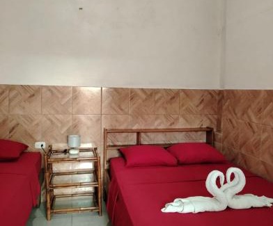 Tortuguero Hotel | Cabinas Enchu