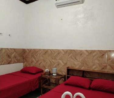 Tortuguero Hotel | Cabinas Enchu