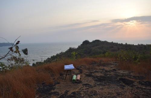 Cola Other | Cabo Serai