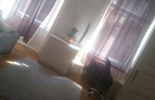 Nepszinhaz negyed House | Cactus Valley