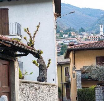 Como Apartment | Cadepulan - Lake Como Residence