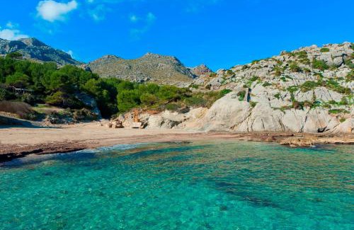 Cala San Vicente Apartment | Cala Clara