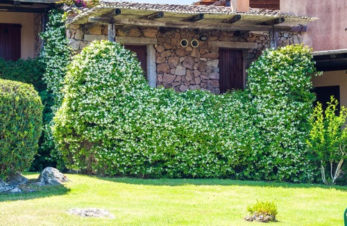 Porto Rotondo Apartment | Caletta 10 - seafront flat with pool and tennis