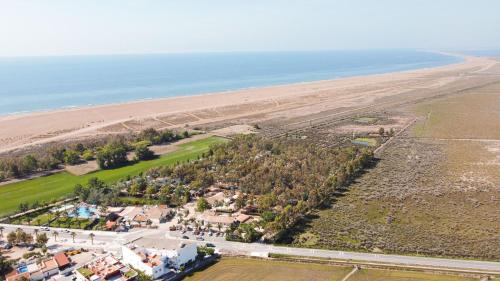 L'Eucaliptus Apartment | CALITO DEL DELTA