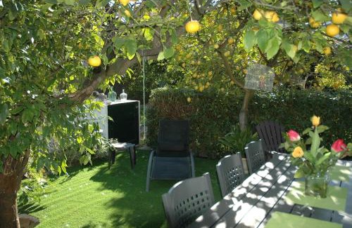 Soller House | CALM HOUSE