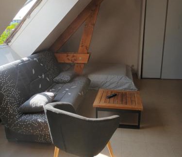 Madeleine - Saint-Leonard Apartment | Calme d'Angers
