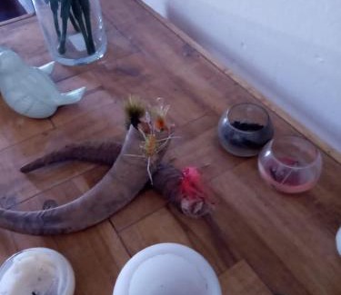 Malargue Department Hotel | Calmuco Shelter