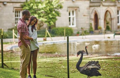 Calthwaite Resort | Calthwaite Hall Lodges