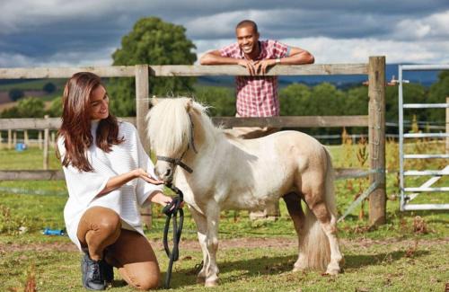 Calthwaite Resort | Calthwaite Hall Lodges
