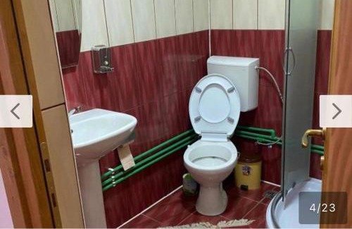 Viseu de Sus House | Camere de închiriat Floarea Reginei