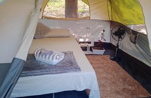 Karjat Other | Camp Agastya Karjat Bhimashankar