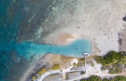 Camp Island Villa | Camp Island Lodge