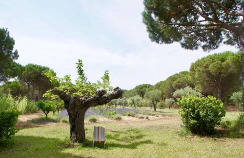 Ramatuelle Bed & Breakfast | Campagne les Jumeaux