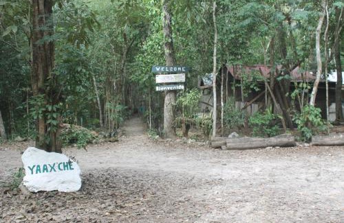 Calakmul Other | Campamento Yaax Che en Calakmul