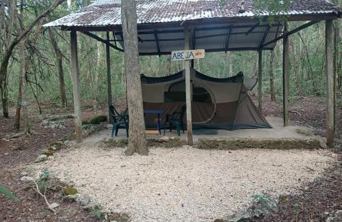 Calakmul Other | Campamento Yaax Che en Calakmul
