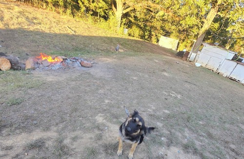 Water Valley RV Rental | campground,fishing pond/farm petting and feeding, bright stars/fruit trees fire