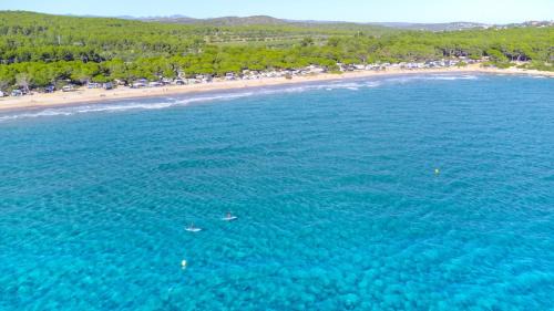 Tarragona Other | Camping Las Palmeras