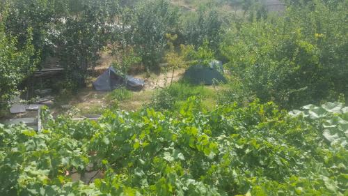 Gjirokaster Other | Camping late