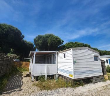 Cap d'Agde Other | Camping Les Embruns N10