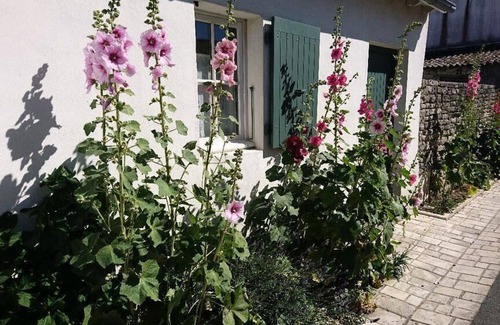 Rivedoux-Plage House | Camping Les Fougères* - 3 Room Mobile Home 4 People
