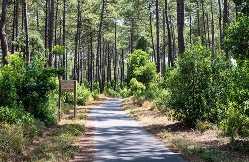 Saint-Paul-en-Born RV Rental | Camping maeva Escapades La Clairière * - 3 Room Lodge Tent 4 People
