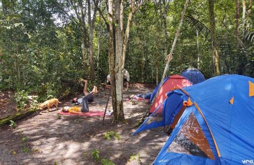 Taruma Other | Camping na Floresta