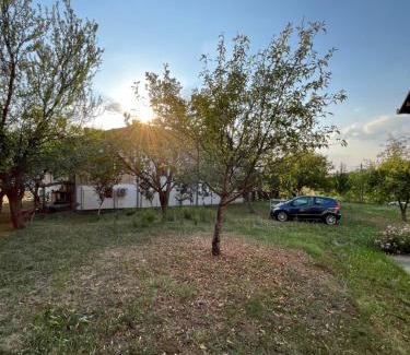Belgrade Other | Camping Serbia - Belgrade