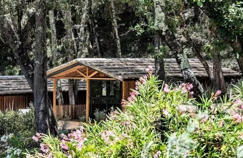 La Roque-sur-Ceze House | Camping Slow Village Provence Occitanie* - Cabin Côté Colline 3 rooms 5 people