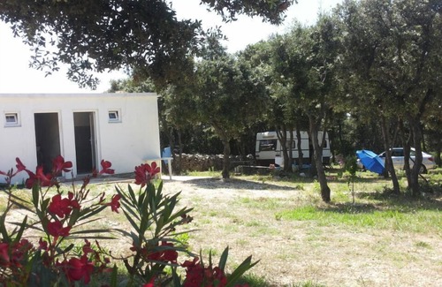Mandre RV Rental | Camping Sugar for a perfect vacation
