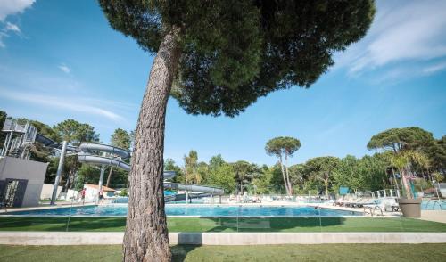 Argeles-sur-Mer Other | Camping Taxo Les Pins - Maeva