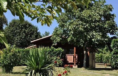 Montrejeau Ski Chalet | Campsite Midi Pyrenees * - Chalet PMR - suitable for people with reduced mobility 4 people