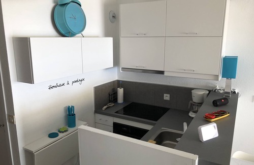 La Cote Radieuse Apartment | CANET SUD, T1 bis LUXURY AIR CONDITIONED, SEA VIEW - DIRECT BEACH, Wifi, closed garage