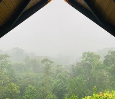 Kotapola Cabin | Cannelle Hill Cabanas