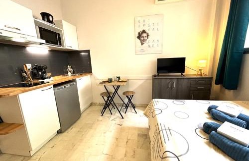 Cannes Apartment | Cannes center wifi AC 100 m from Croisette behind Martinez hotel